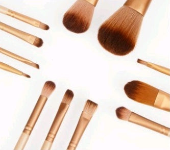 Iron Box Makeup 12 Brush Sets